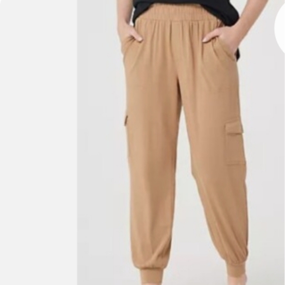 AnyBody Pants - AnyBody Women's Casual Tan Joggers